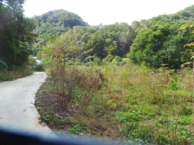 B000260202501300508663.jpg