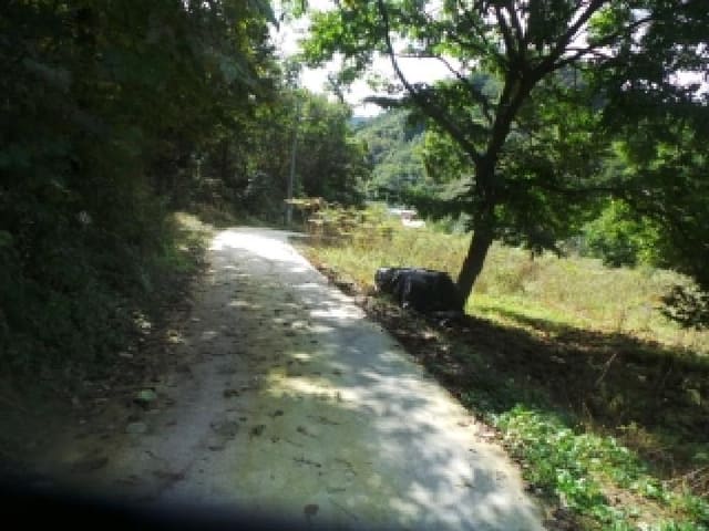 B000260202501300508661.jpg