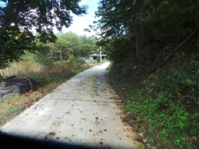 B000260202501300508662.jpg