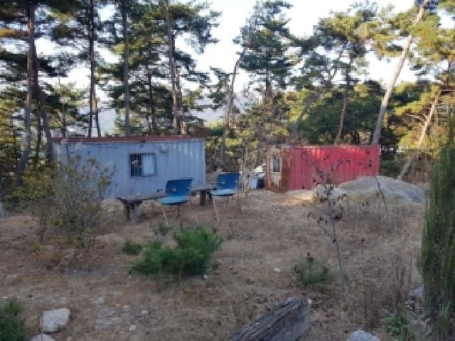 B000260202501300508734.jpg