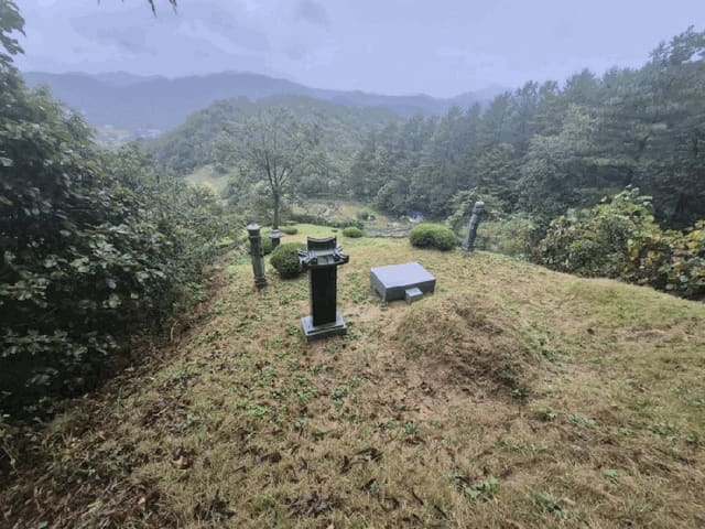 B000260202501300508784.jpg