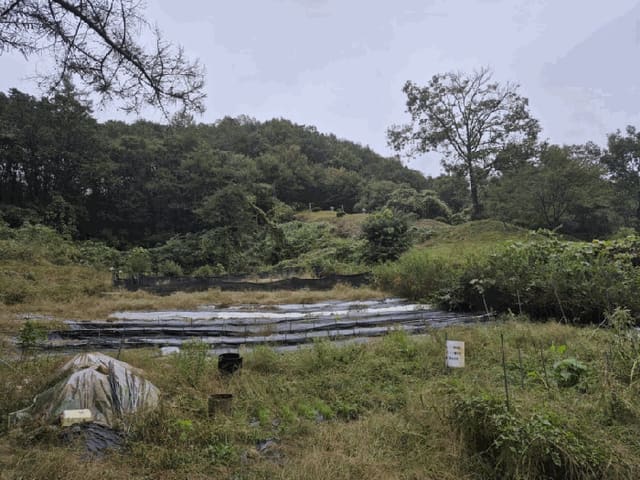 B000260202501300508783.jpg