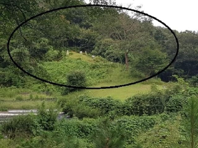 B000260202501300508781.jpg