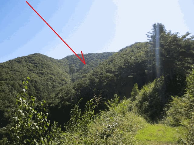 B000260202501300508874.jpg