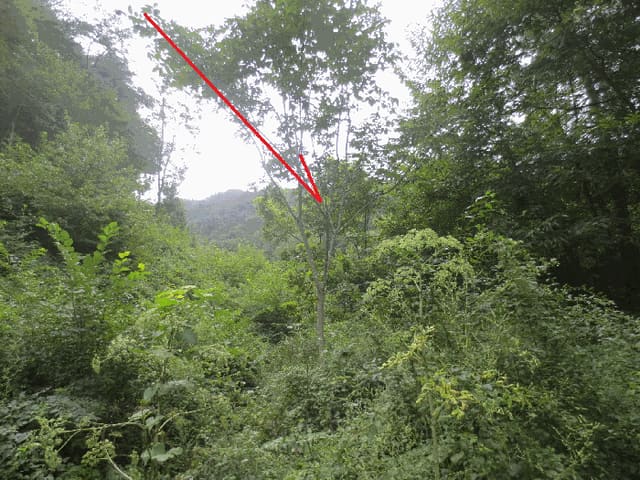 B000260202501300508884.jpg