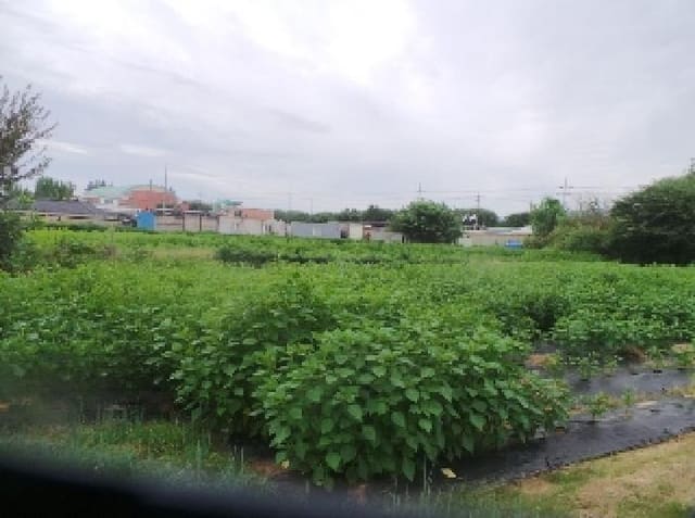 B000260202501300508942.jpg