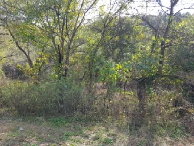 B000260202501300509051.jpg