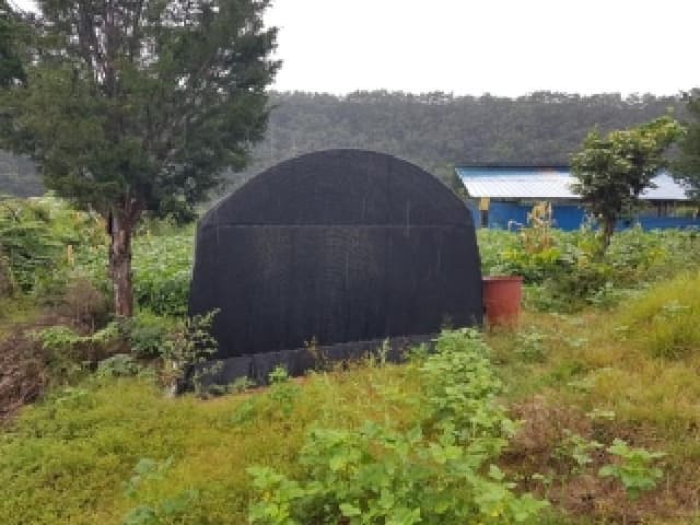 B000260202501300509081.jpg
