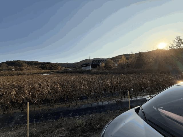 B000260202501300509294.jpg