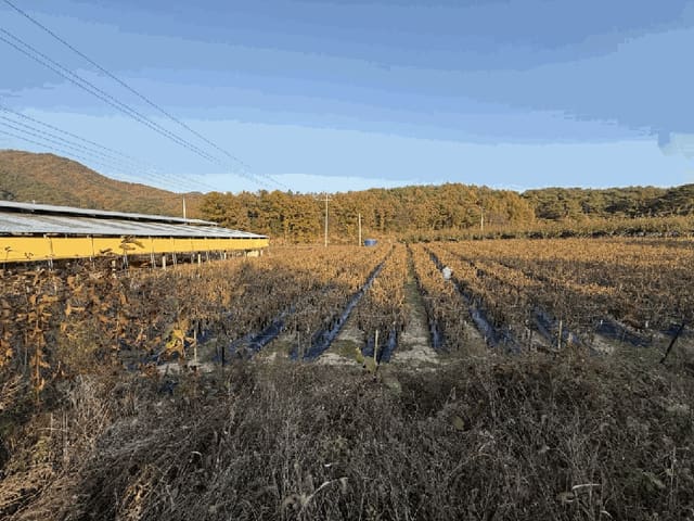 B000260202501300509293.jpg