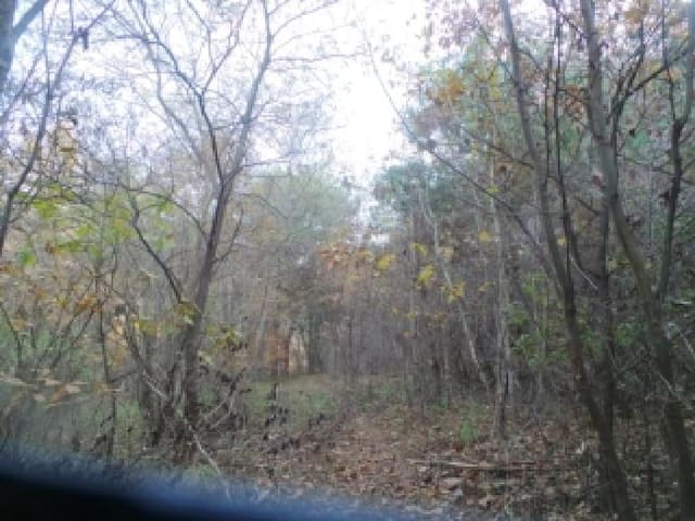 B000260202501300509392.jpg