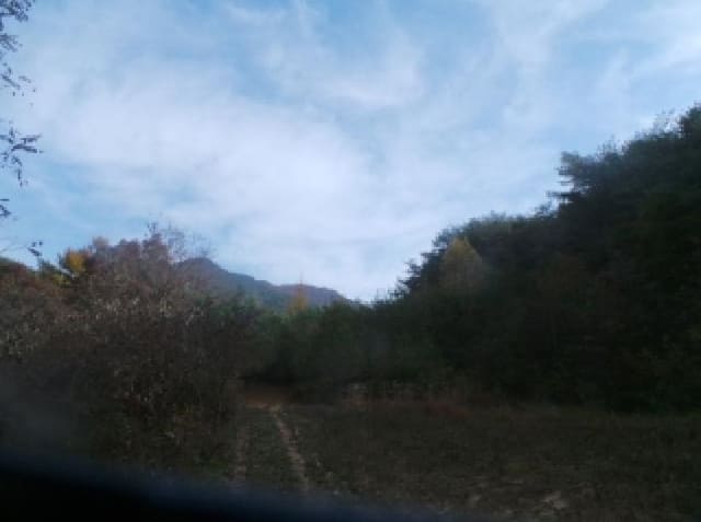 B000260202501300509391.jpg