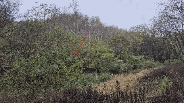 B000260202501300509402.jpg