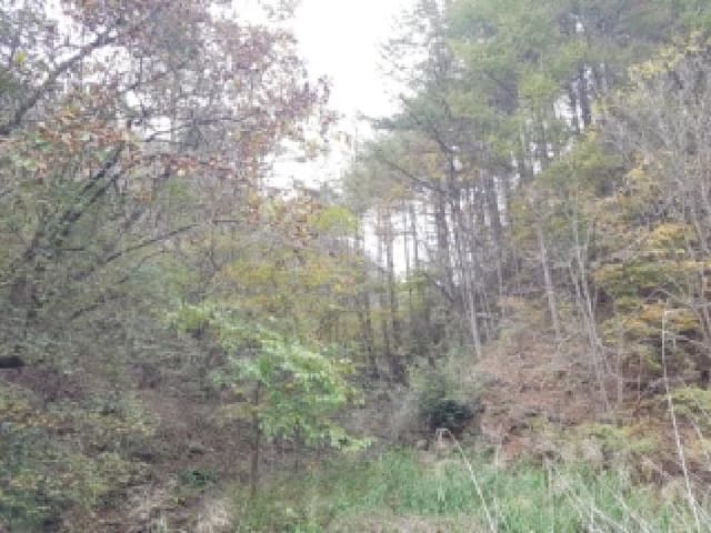 B000260202501300509401.jpg