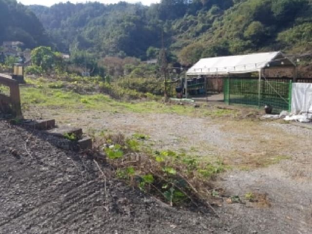 B000260202501300509411.jpg