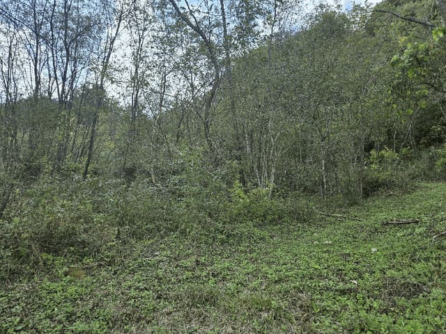 B000260202501300509613.jpg