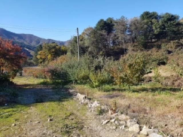 B000260202501300509664.jpg