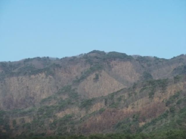 B000260202501300509682.jpg
