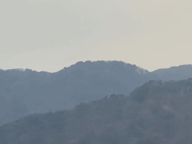 B000260202501300509684.jpg