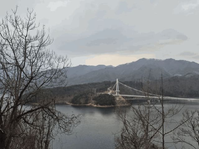 B000260202501300509683.jpg