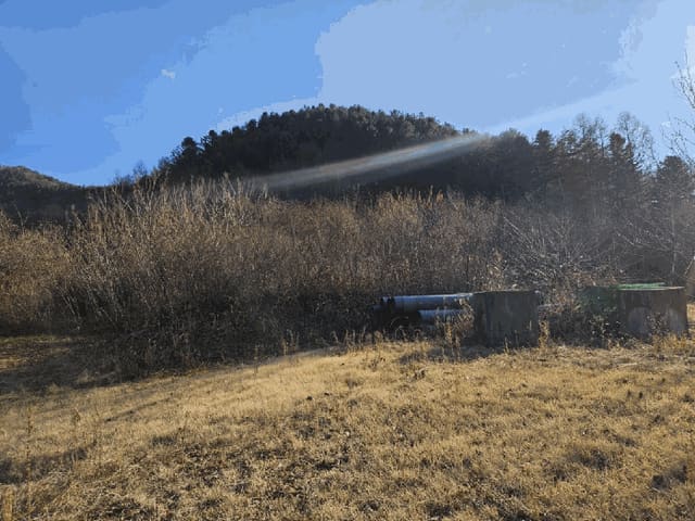 B000260202501300509843.jpg