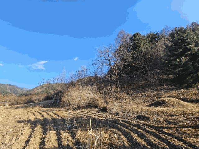 B000260202501300509844.jpg