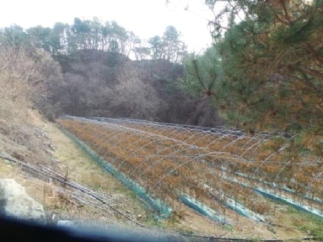 B0002602025013005098817.jpg