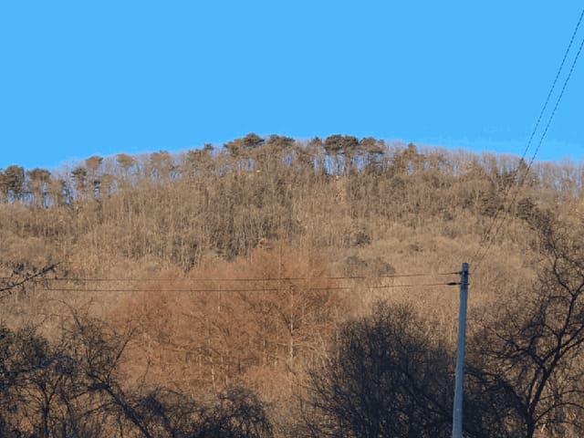 B000260202501300509923.jpg