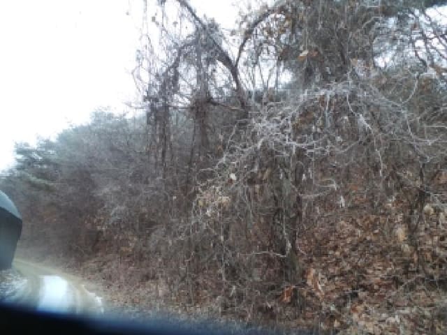 B000260202501300509951.jpg