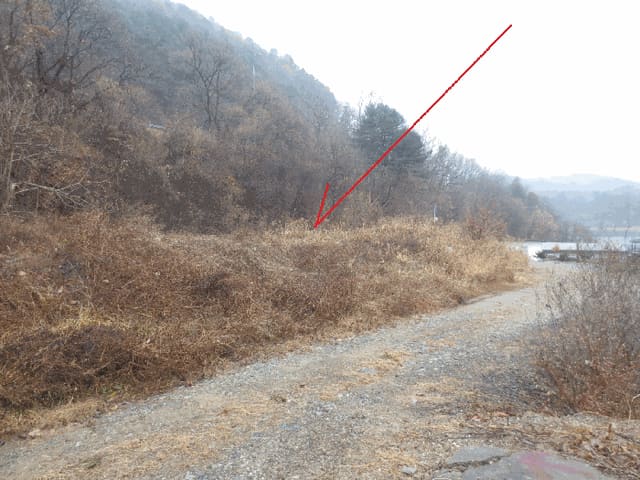 B0002602025013005101410.jpg