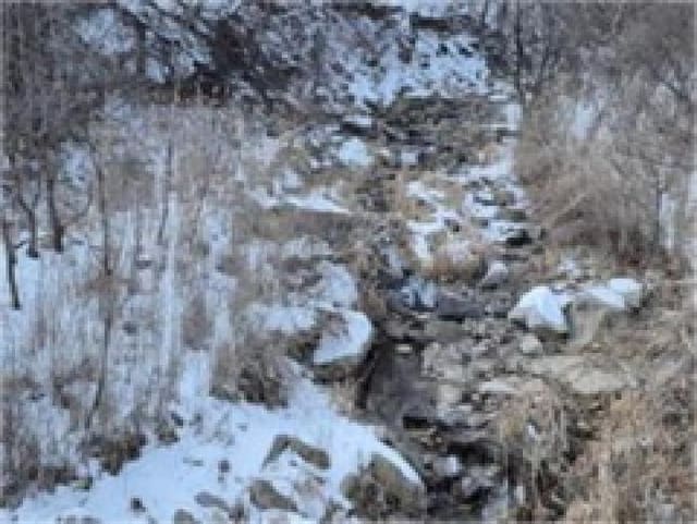 B000260202501300510184.jpg
