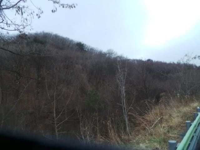 B000260202501300510181.jpg