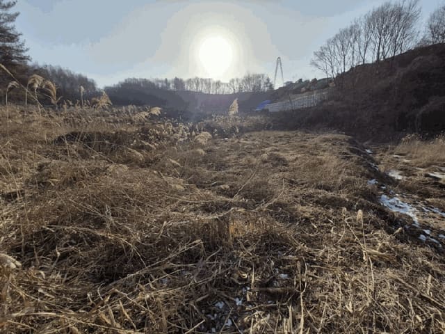 B000260202501300510304.jpg