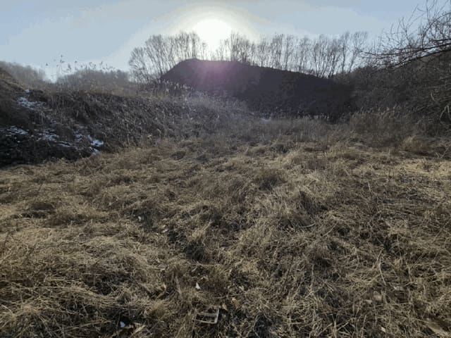 B000260202501300510303.jpg