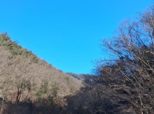 B000260202501300510461.jpg