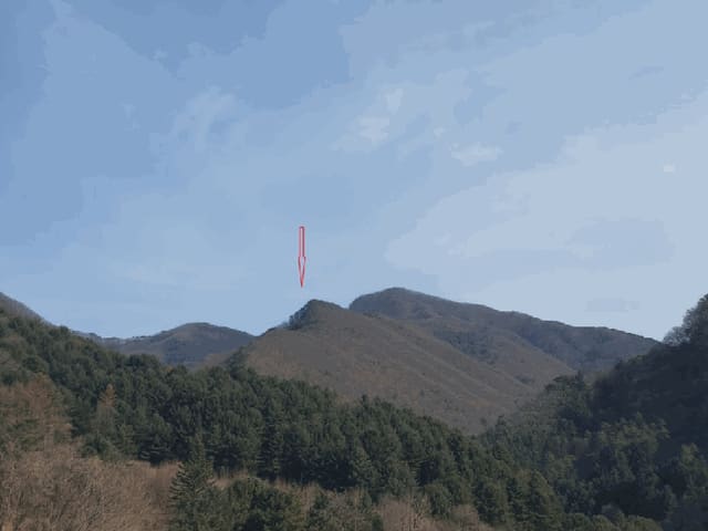 B000260202501300510463.jpg