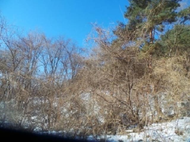 B000260202501300510502.jpg