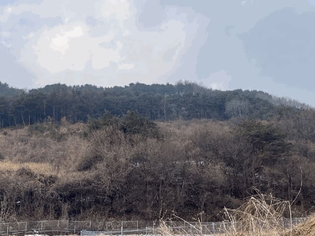 B000260202501300510506.jpg