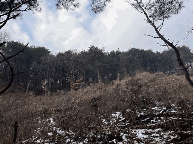 B000260202501300510507.jpg