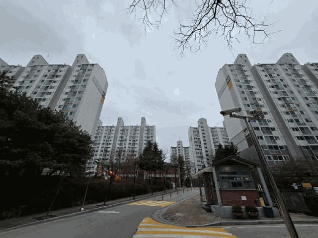 B000260202501300510584.jpg