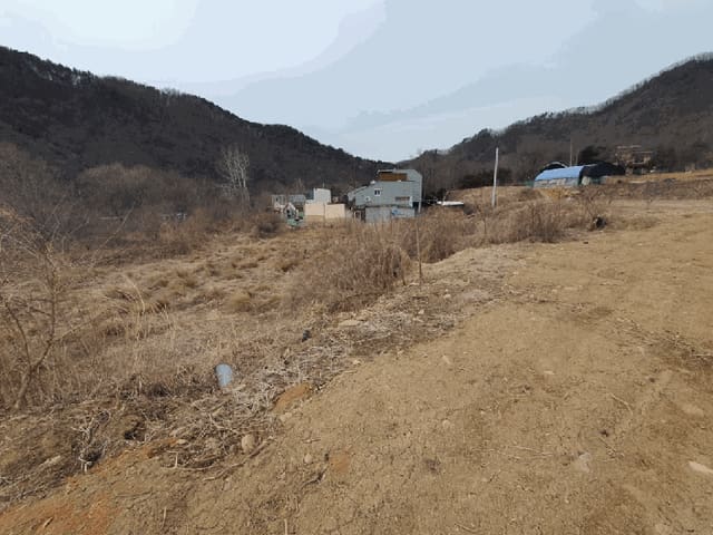 B000260202501300510794.jpg