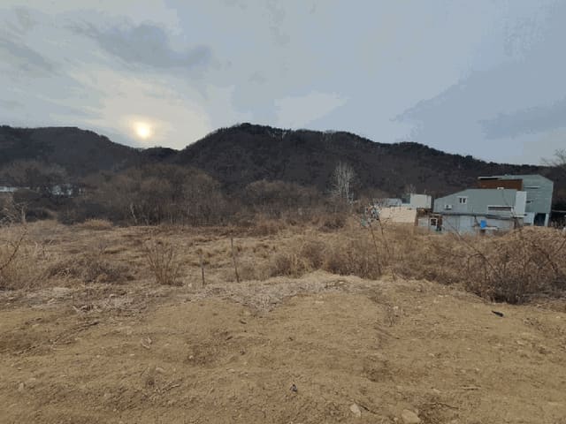 B000260202501300510792.jpg