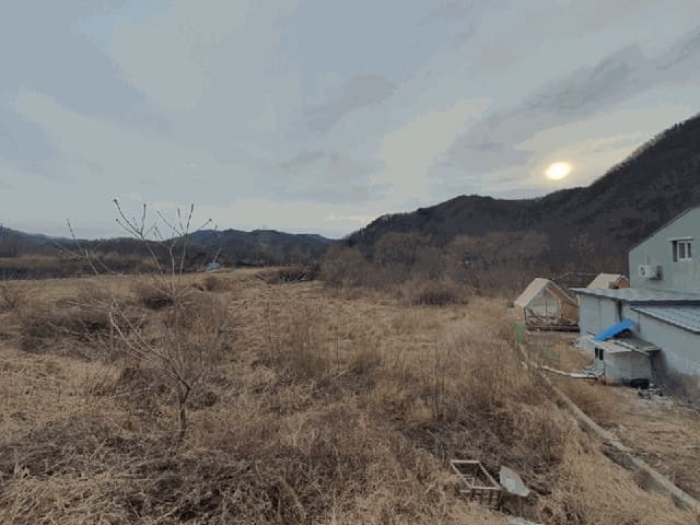 B000260202501300510793.jpg