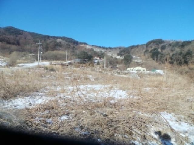 B000260202501300510853.jpg