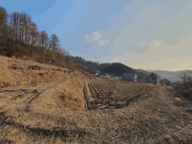 B000260202601300000073.jpg
