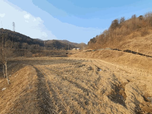 B000260202601300000074.jpg