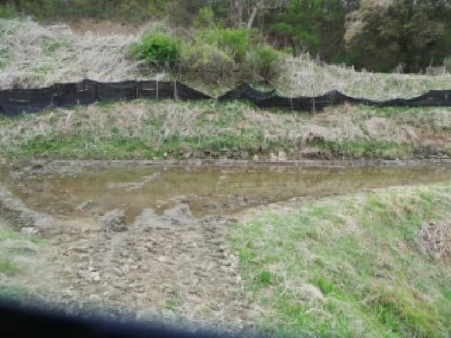 B000260202601300000071.jpg