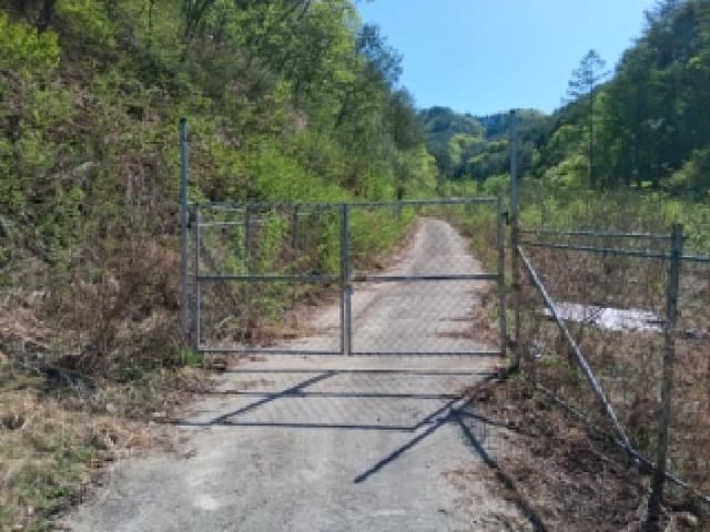 B000260202601300000154.jpg