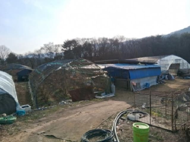 B000260202601300000264.jpg
