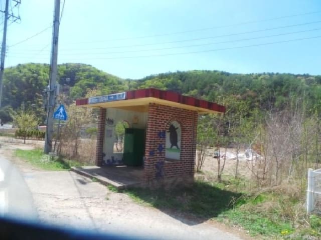 B000260202601300000314.jpg